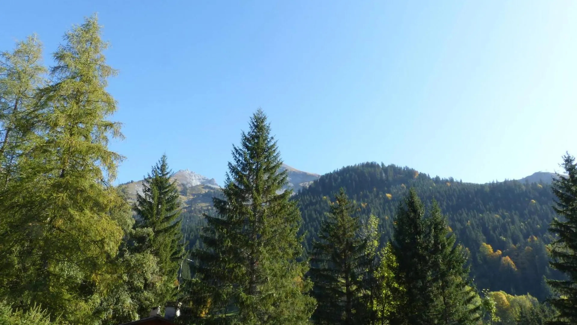 Appartement 3 Chambres Avec Cheminee, Terrasse Et Parking A La Clusaz - Fr-1-437-97 0*,  Francja